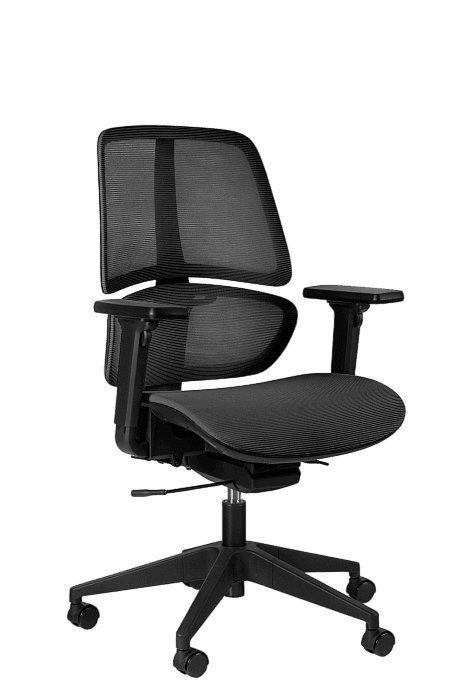 Ergo Chair